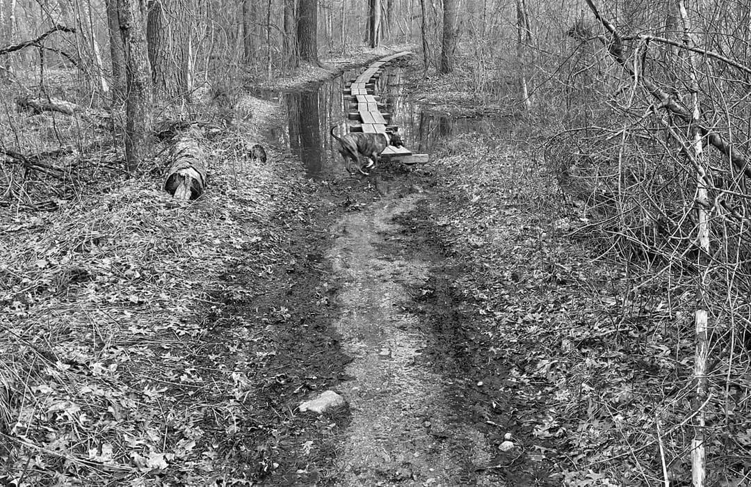 Best Hiking Trails in Brockton MA