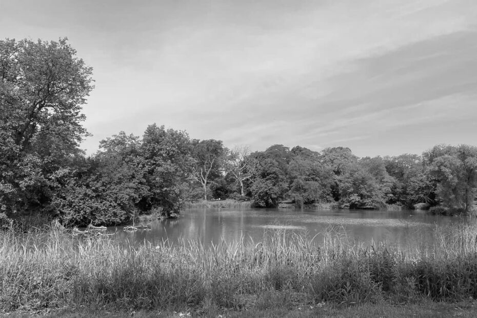 Best Hiking Trails in Cicero IL