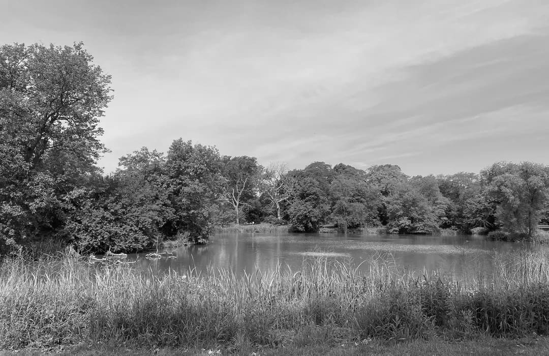 Best Hiking Trails in Cicero IL