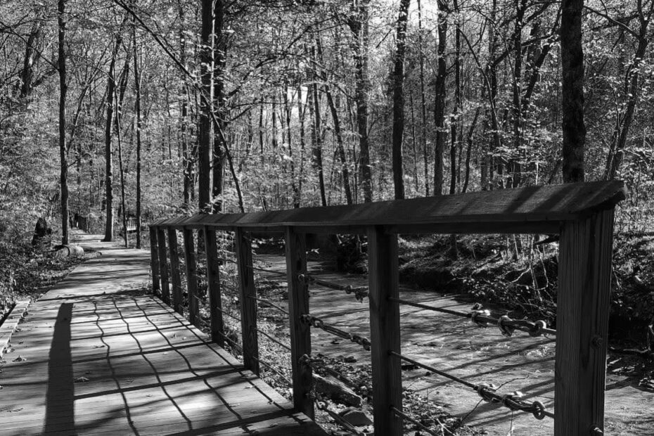 Best Hiking Trails in Clarksville TN