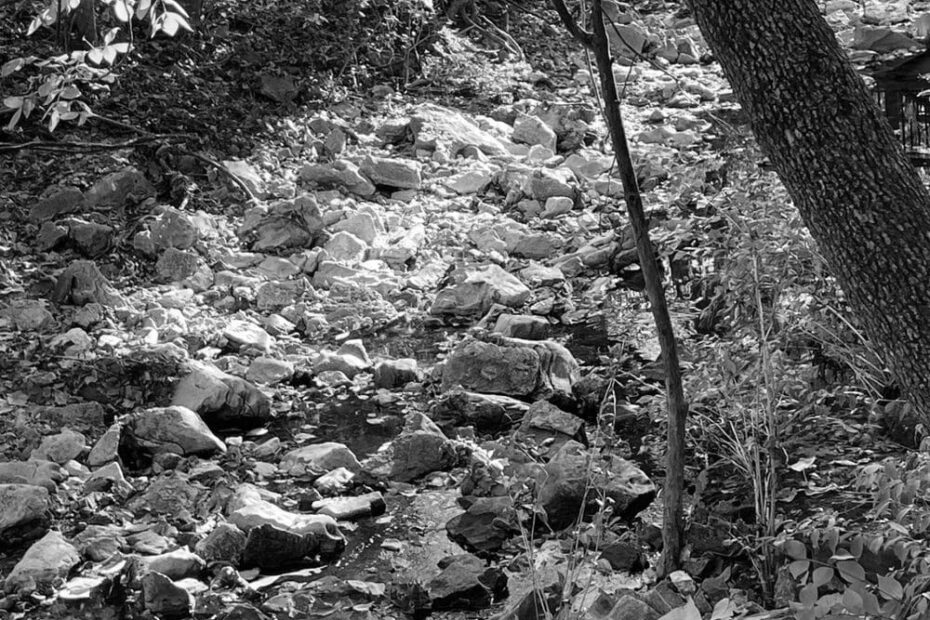 Best Hiking Trails in Columbia MO