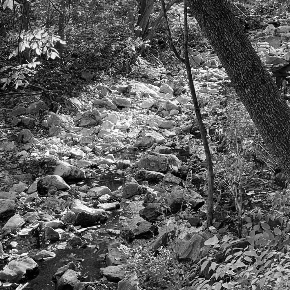 Best Hiking Trails in Columbia MO