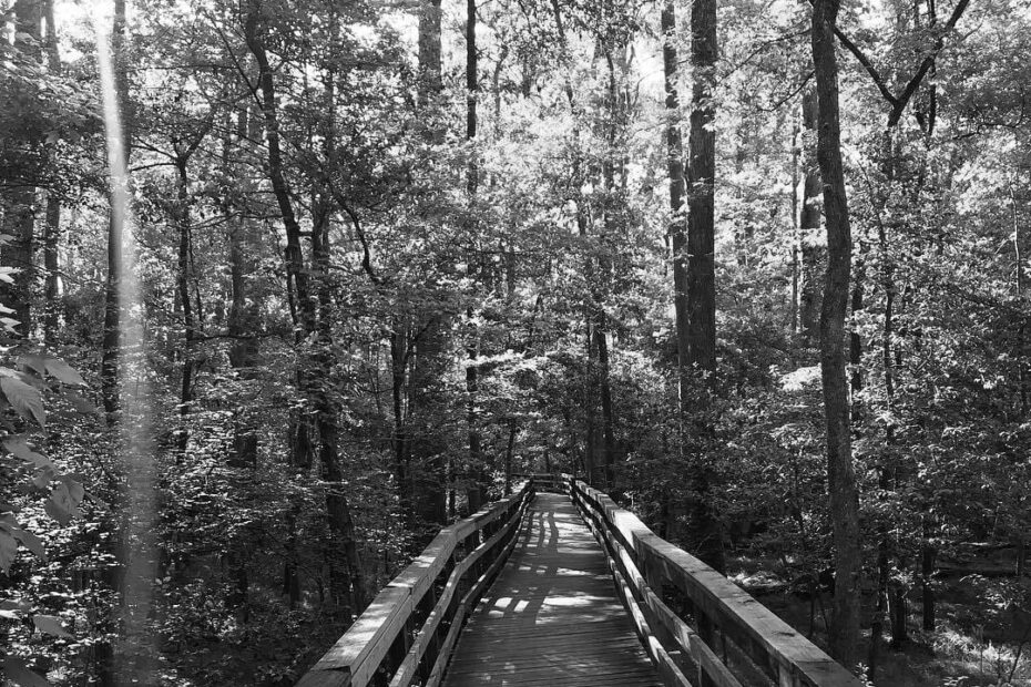 Best Hiking Trails in Columbia SC