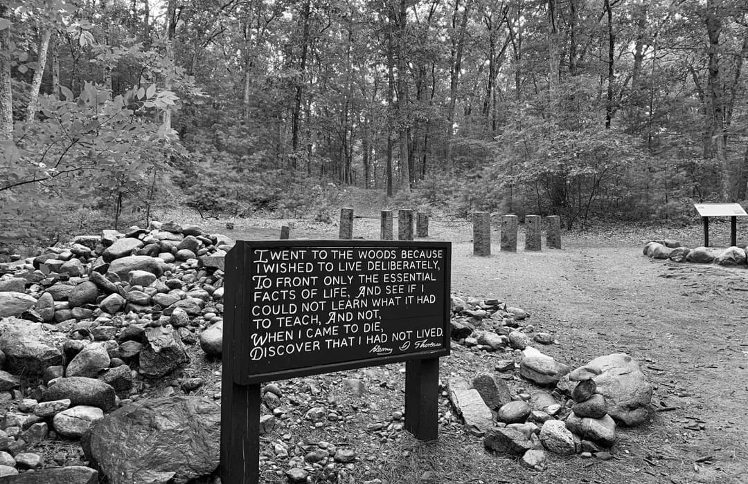 Best Hiking Trails in Concord MA