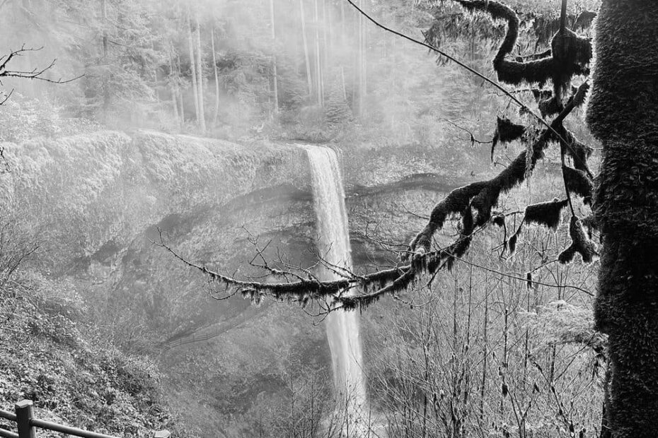 Best Hiking Trails in Corvallis OR