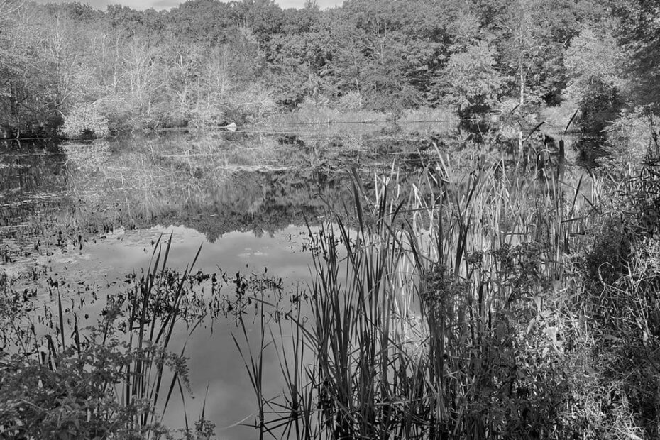 Best Hiking Trails in Coventry MA