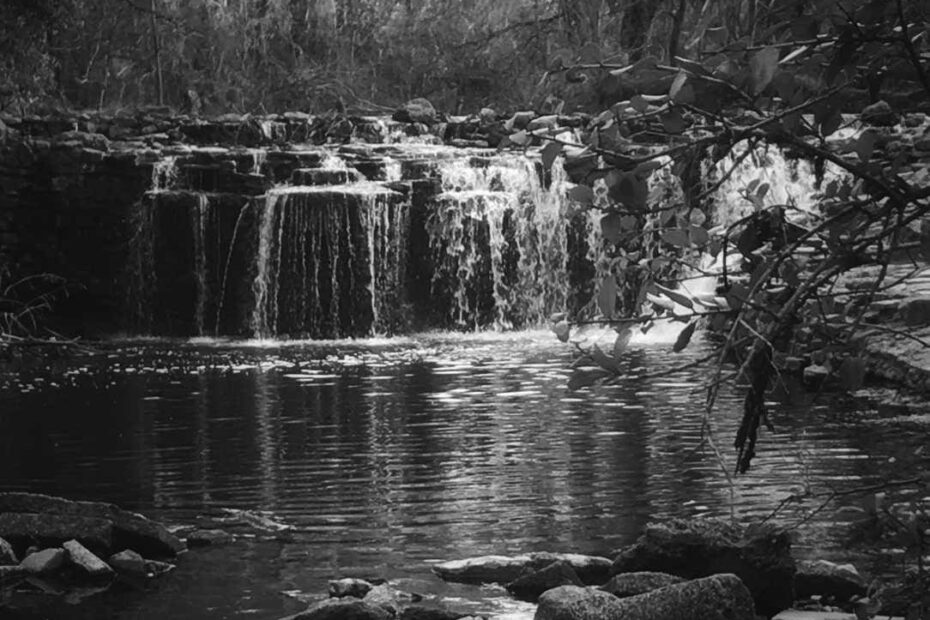 Best Hiking Trails in Dallas TX