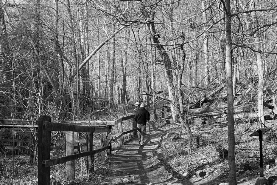 Best Hiking Trails in Dayton OH