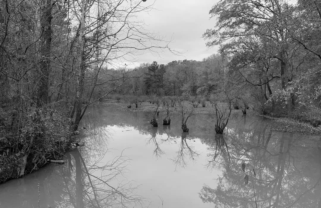 Best Hiking Trails in Decatur AL