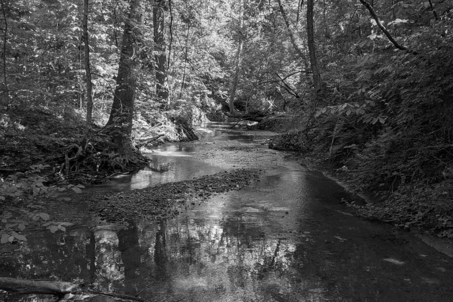 Best Hiking Trails in Decatur IL