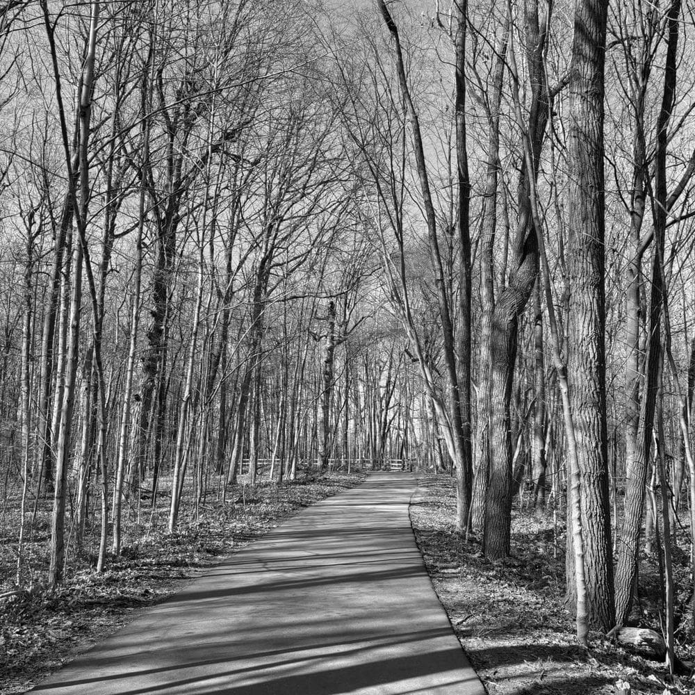 Best Hiking Trails in Detroit MI