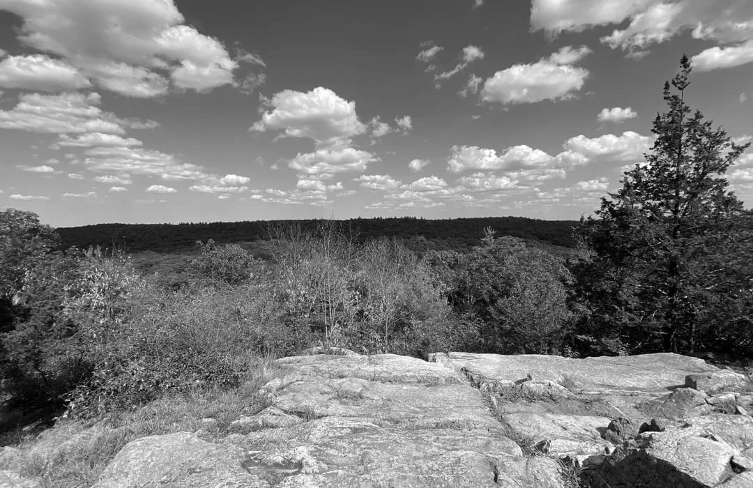 Best Hiking Trails in Dover MA