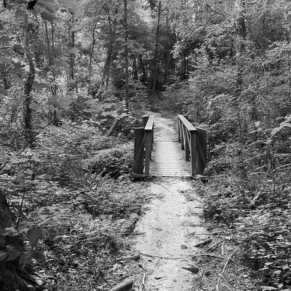 Best Hiking Trails in Durham NC
