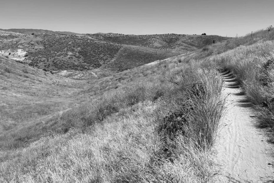 Best Hiking Trails in Eagle ID