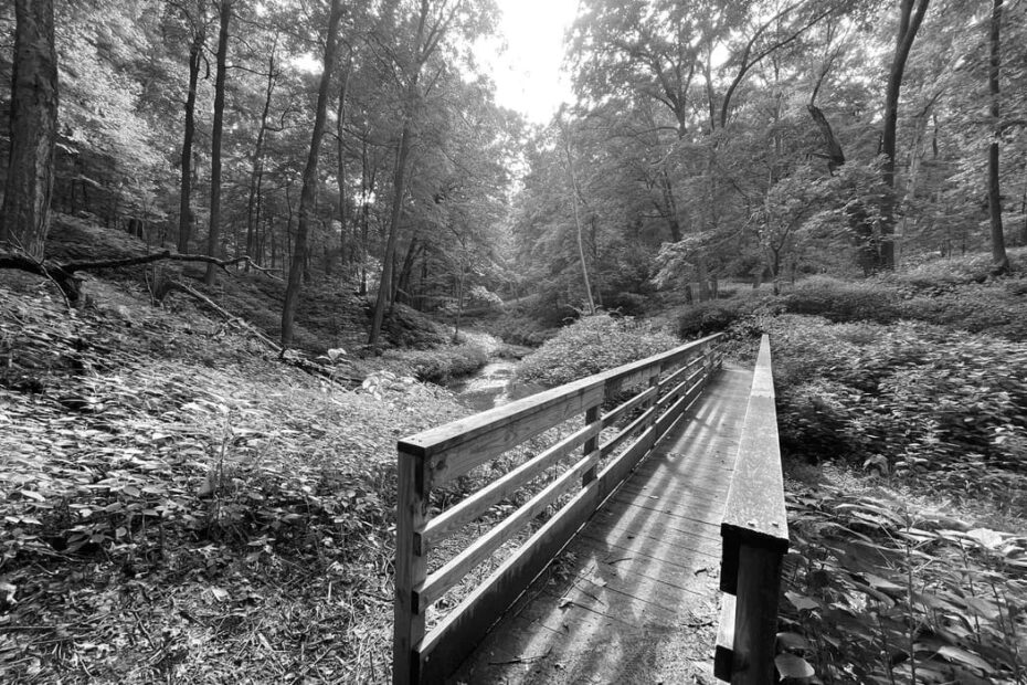 Best Hiking Trails in Eden Prairie MN
