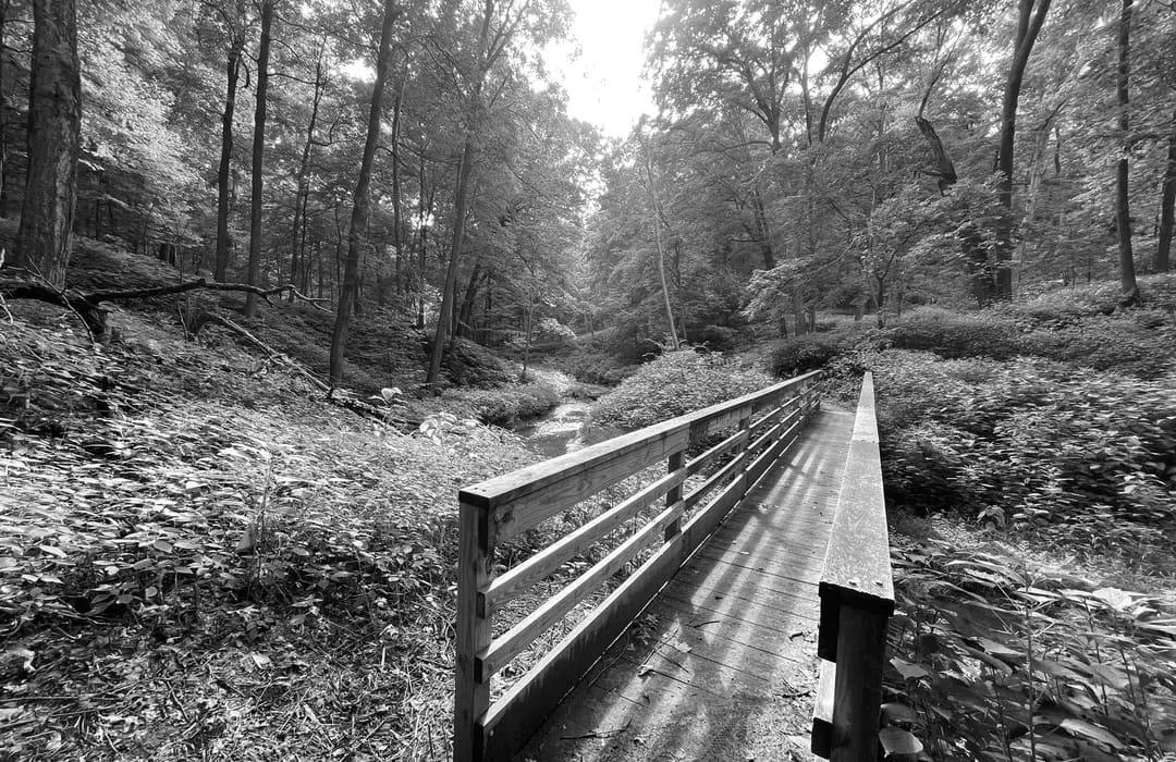 Best Hiking Trails in Eden Prairie MN