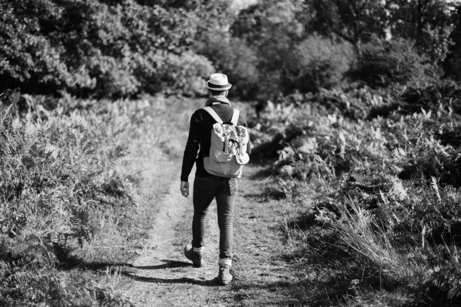 Best Hiking Trails in Elgin IL