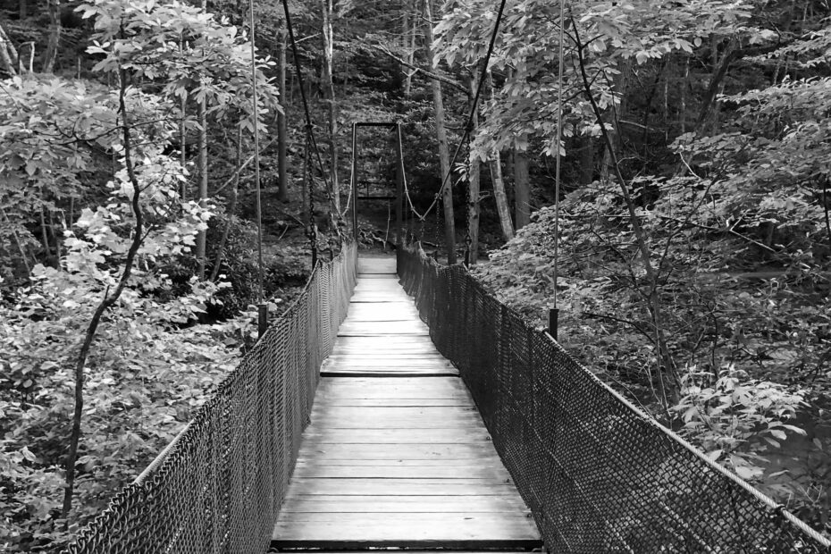 Best Hiking Trails in Erie PA