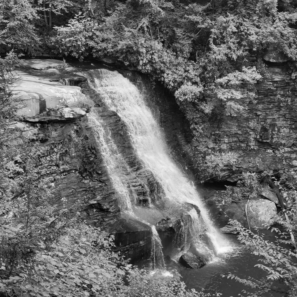 Best Hiking Trails in Fairmont, WV Top Easy Hikes for Kids