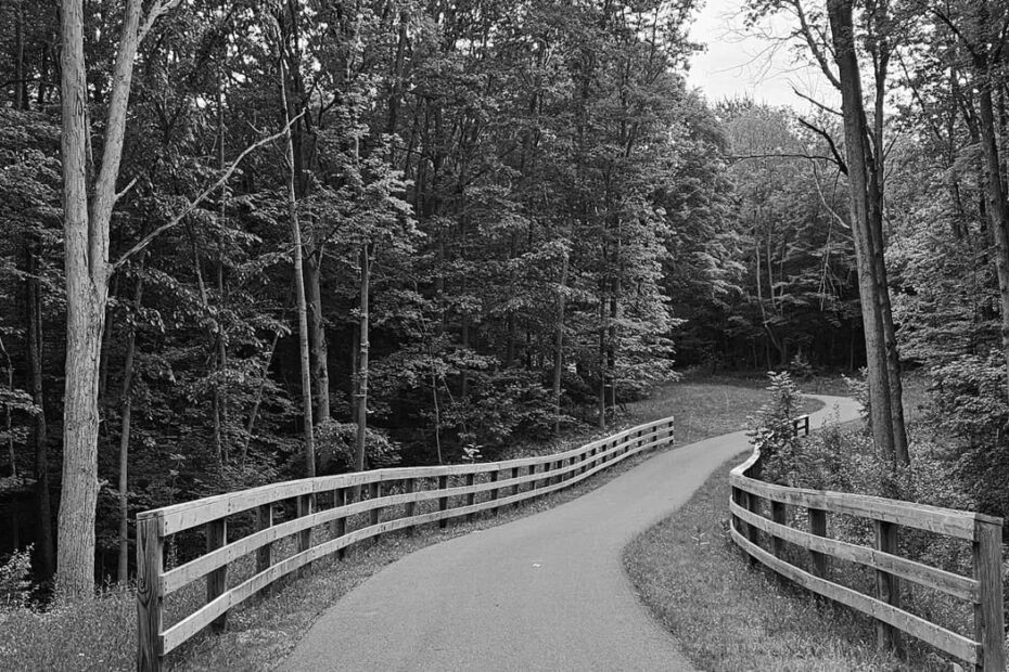 Best Hiking Trails in Flint MI