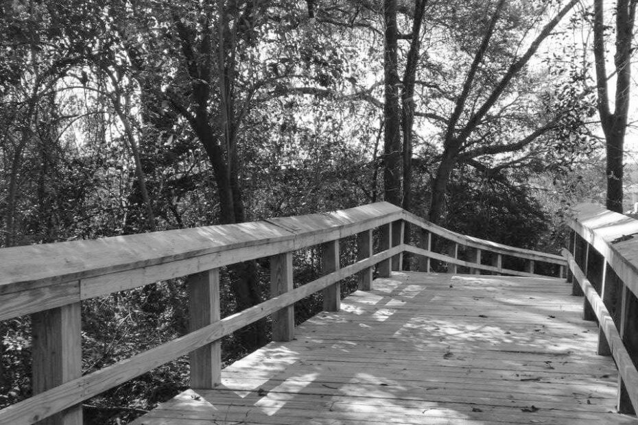 Best Hiking Trails in Florence SC