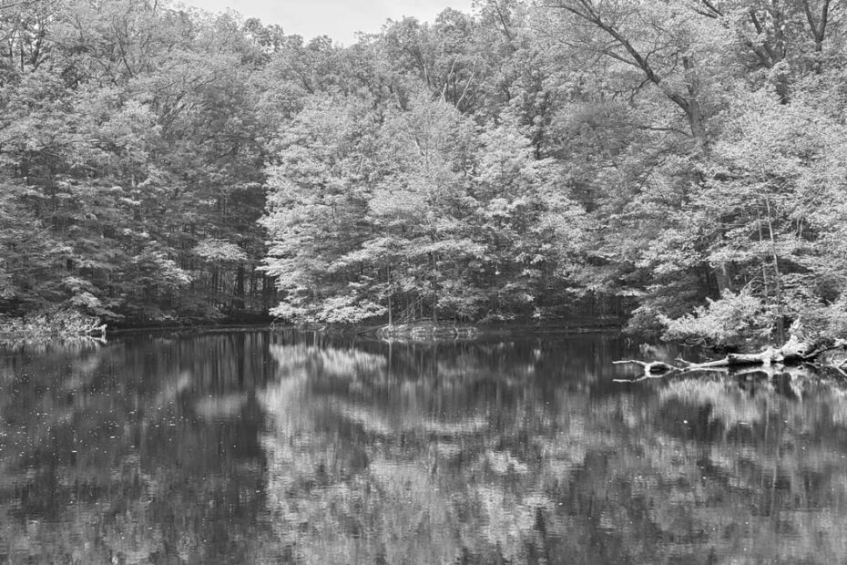 Best Hiking Trails in Fort Wayne IN