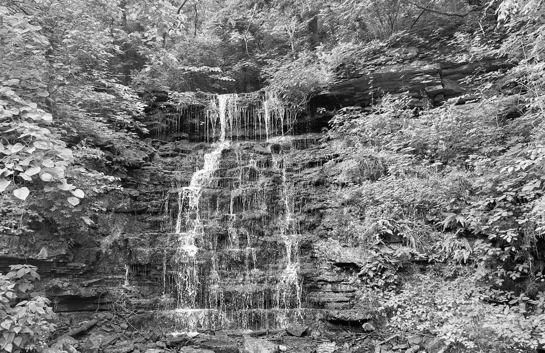 Best Hiking Trails in Frankfort KY