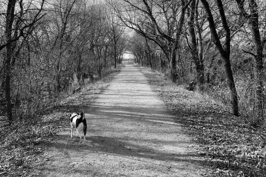 Best Hiking Trails in Fremont NE