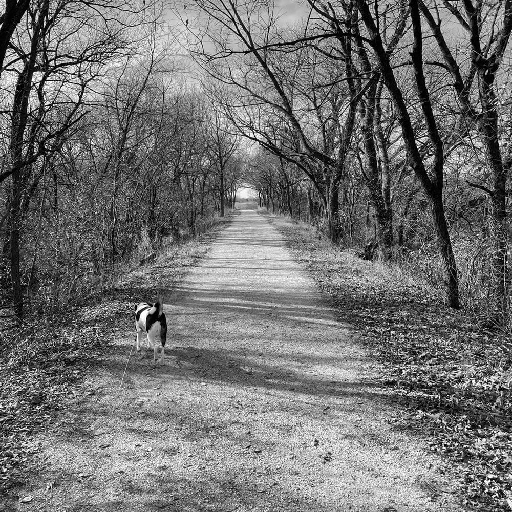 Best Hiking Trails in Fremont NE