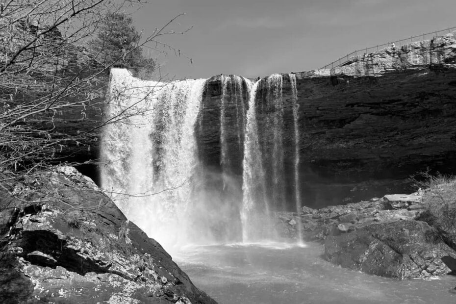 Best Hiking Trails in Gadsden AL