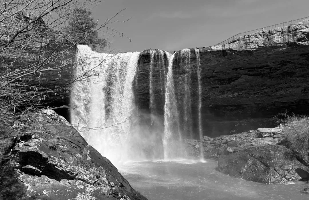 Best Hiking Trails in Gadsden AL