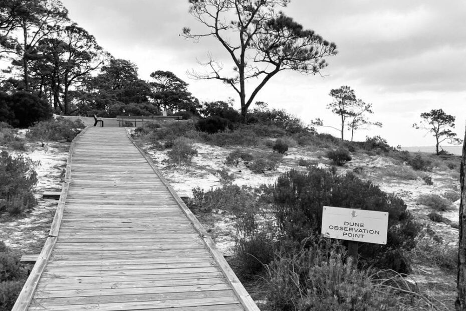 Best Hiking Trails in Gautier AL
