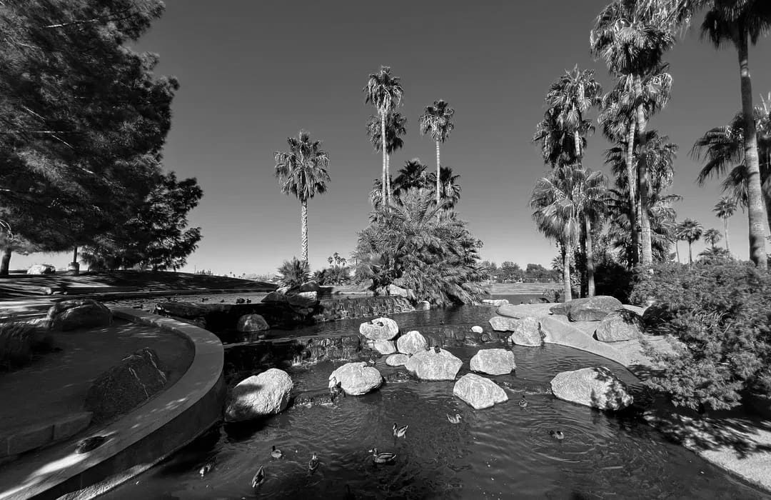 Best Hiking Trails in Gilbert AZ
