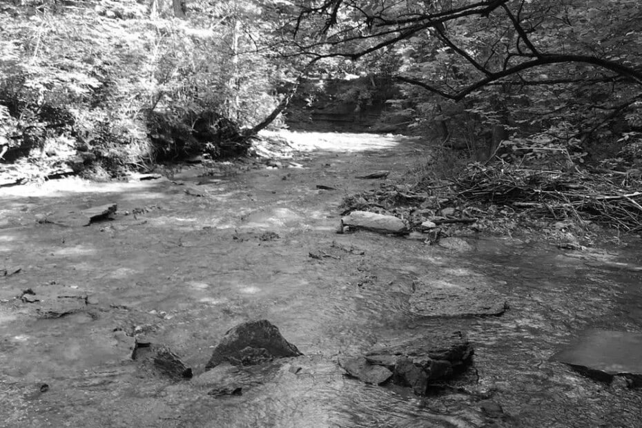 Best Hiking Trails in Hamilton OH