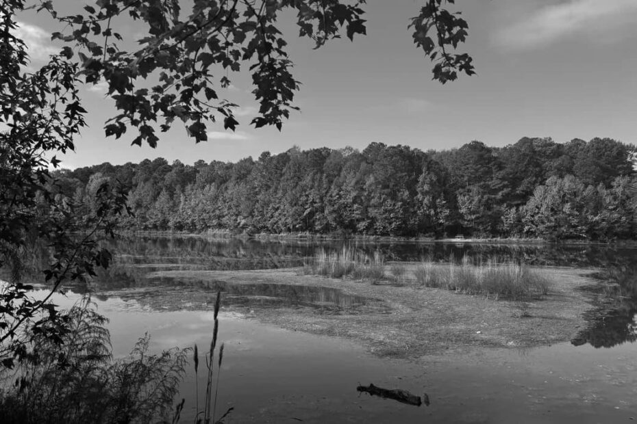 Best Hiking Trails in Hampton, VA