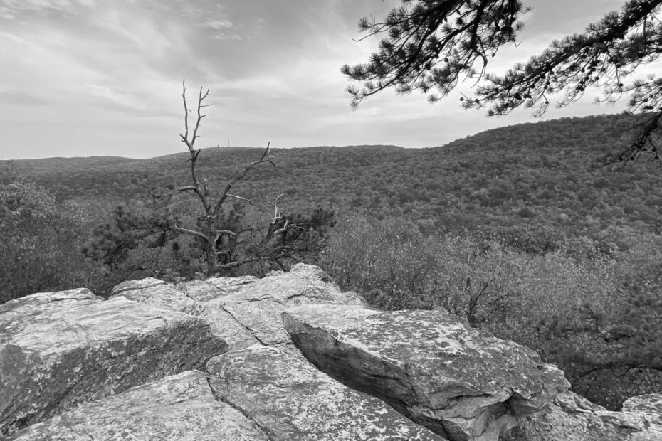 Best Hiking Trails in Harrisburg PA