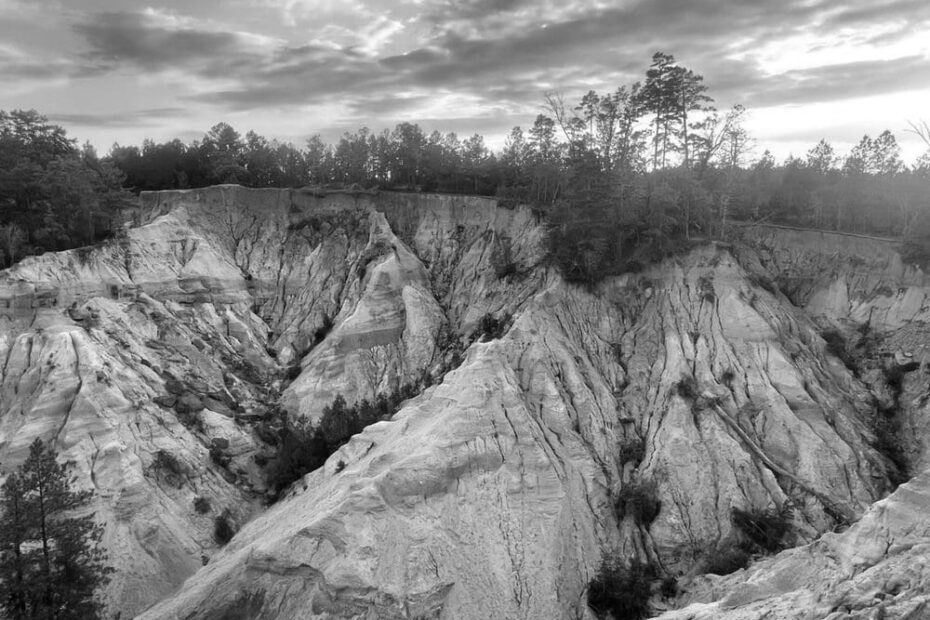 Best Hiking Trails in Hattiesburg MS