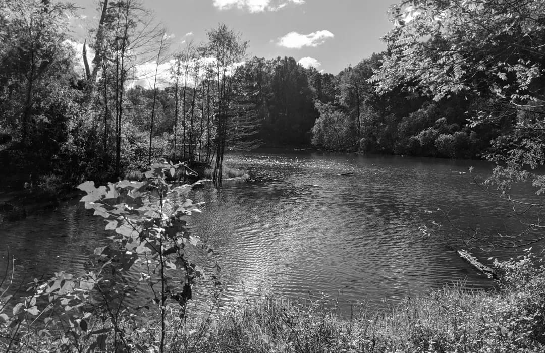 Best Hiking Trails in Henderson KY