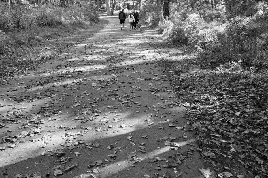 Best Hiking Trails in Hendersonville TN