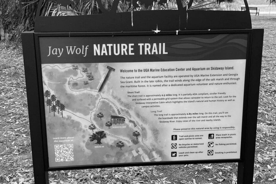 Best Hiking Trails in Hilton Head Island SC