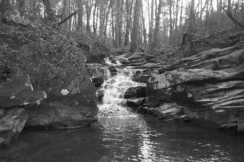 Best Hiking Trails in Hoover AL