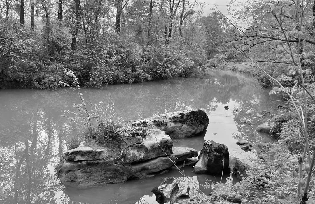 Best Hiking Trails in Hopkinsville KY