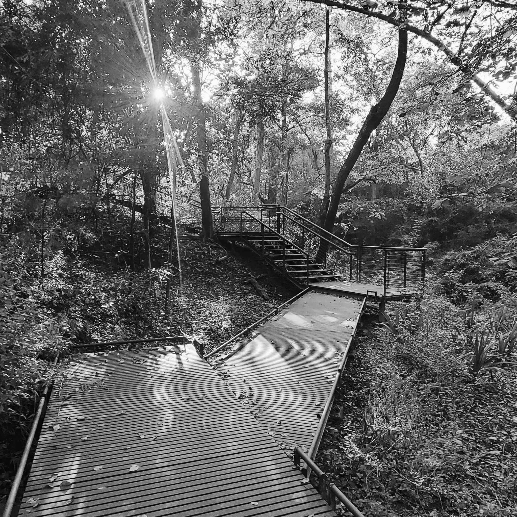 MLB Team Stolen Bases Leaders 2025 Team Rankings mlb-team-stolen-bases-leaders-2025-team-rankings