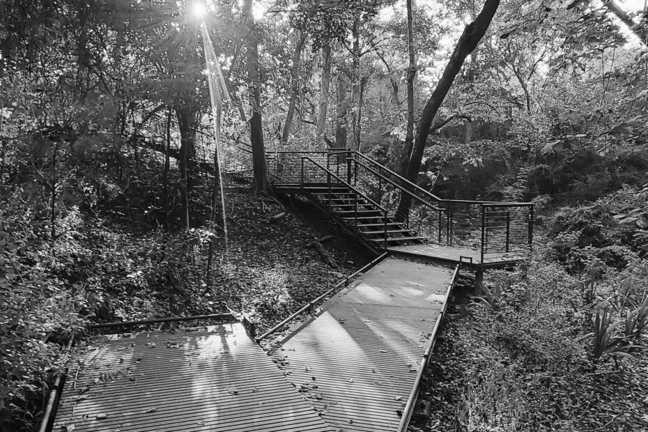 Best Hiking Trails in Houston TX