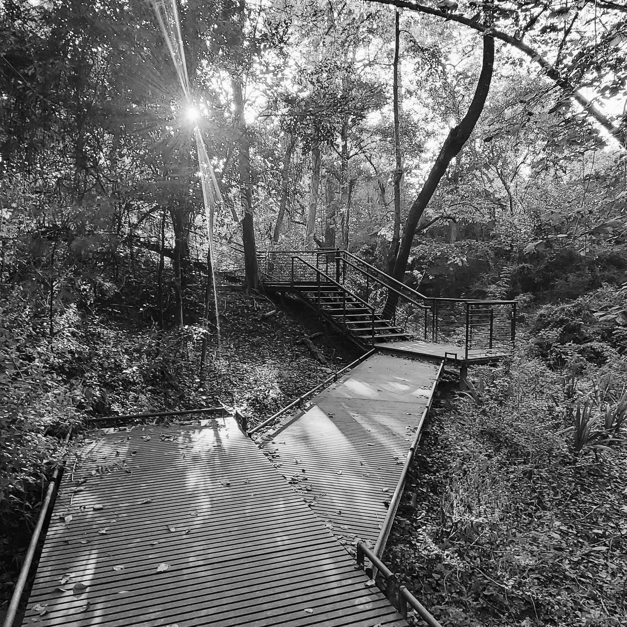 Best Hiking Trails in Houston TX
