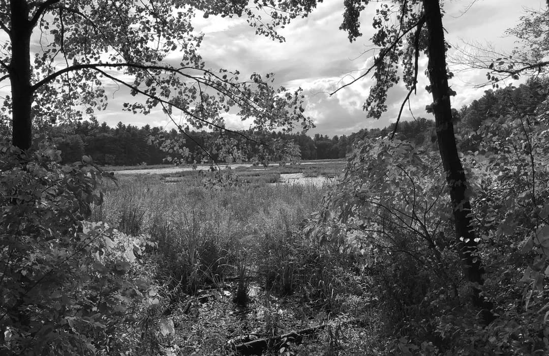Best Hiking Trails in Hudson NH