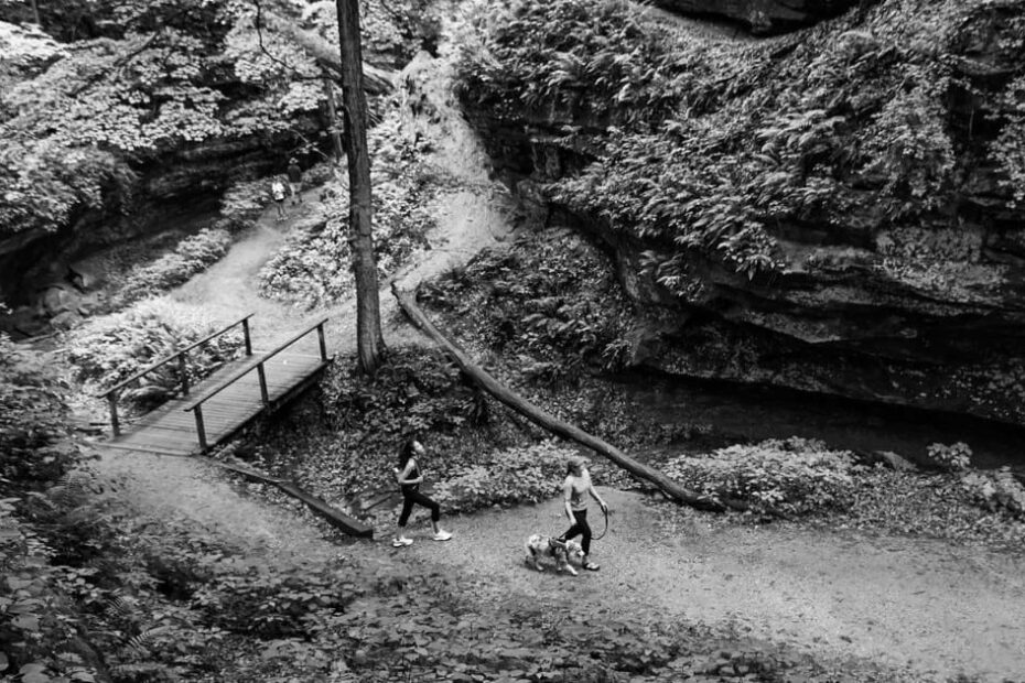 Best Hiking Trails in Iowa City IA