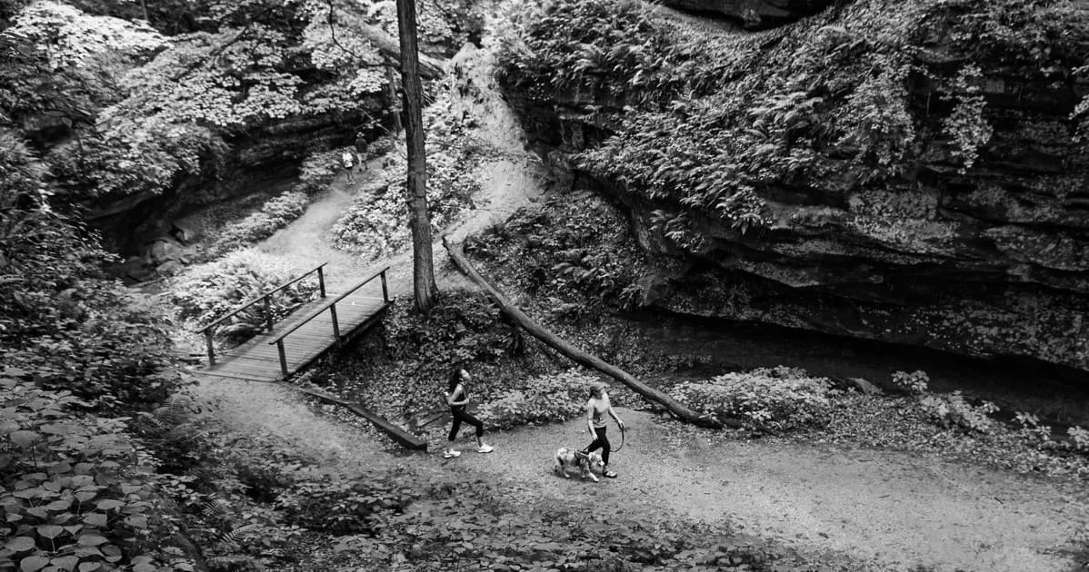 Best Hiking Trails in Iowa City IA