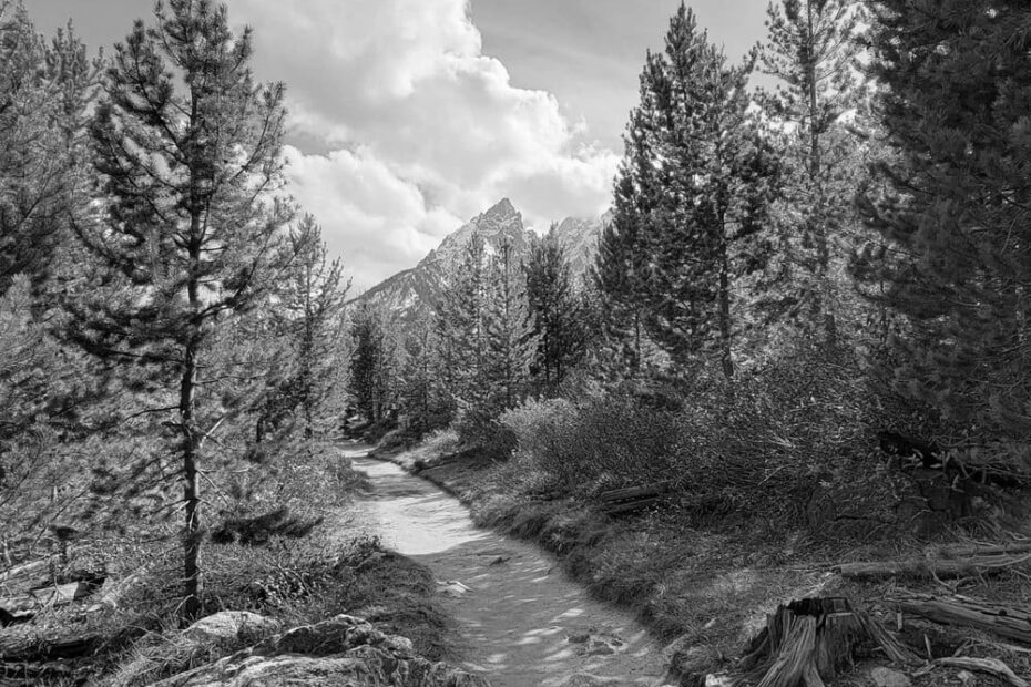 Best Hiking Trails in Jackson ID