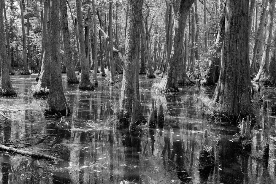 Best Hiking Trails in Jackson MS